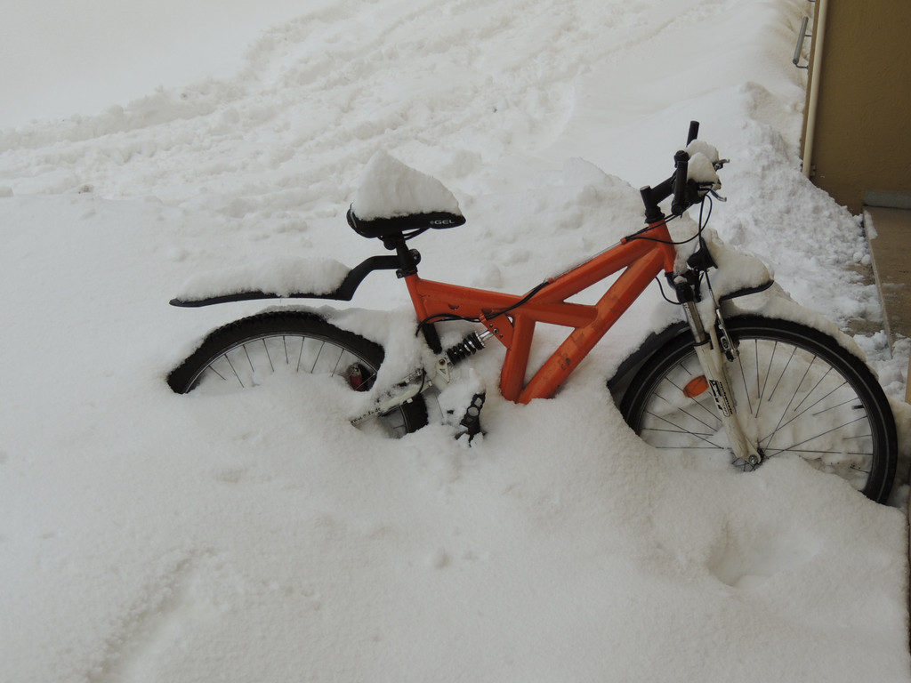 DSCN8520_JPG-1361026902