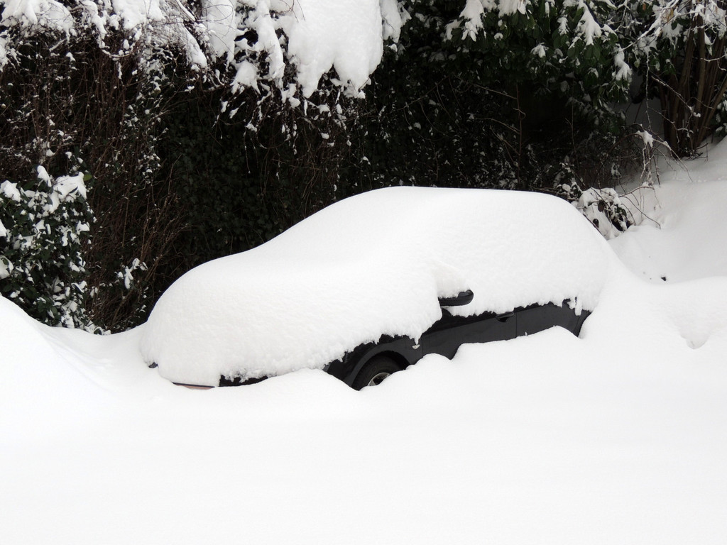 DSCN8531_JPG-1361026910