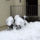 DSCN8315_JPG-1361026888