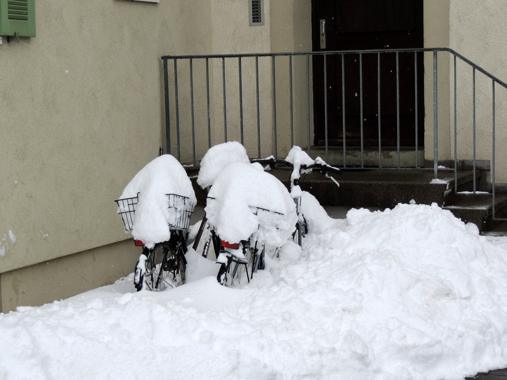 DSCN8315_JPG-1361026888