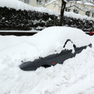 DSCN8484_JPG-1361026893