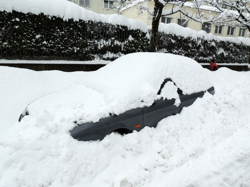 DSCN8484_JPG-1361026893