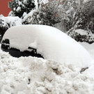 DSCN8524_JPG-1361026906