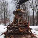 DSCN1159_JPG-1361027210