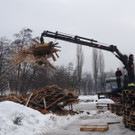 DSCN1165_JPG-1361027224