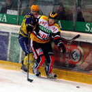 IMG_9242_jpg-1361057171