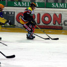 IMG_9283_jpg-1361057246