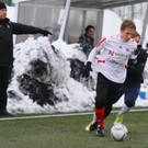 IMG_9037_jpg-1361091629