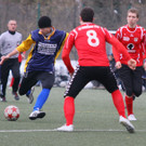 IMG_8815_jpg-1361093500