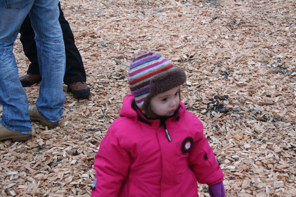 IMG_3461_JPG-1361095654