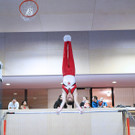 paul hagen reck 1600_jpg-1361096091