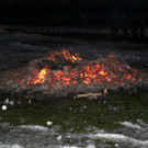 IMG_3505_JPG-1361096114