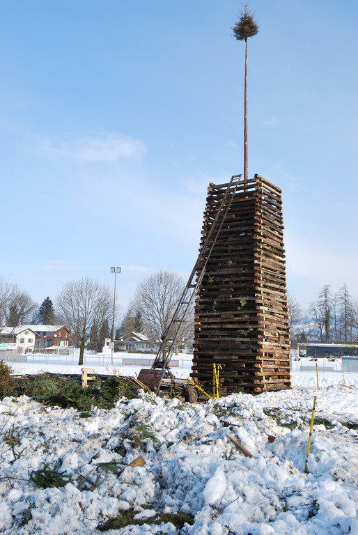 DSC_0048-1.jpg
