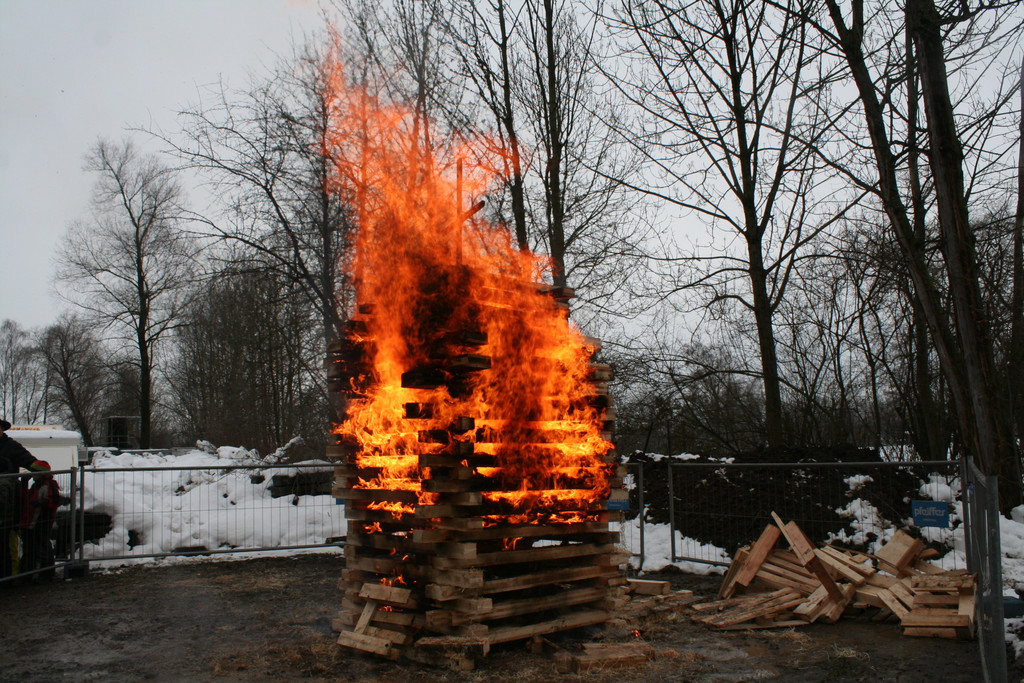 IMG_3394_JPG-1361097404