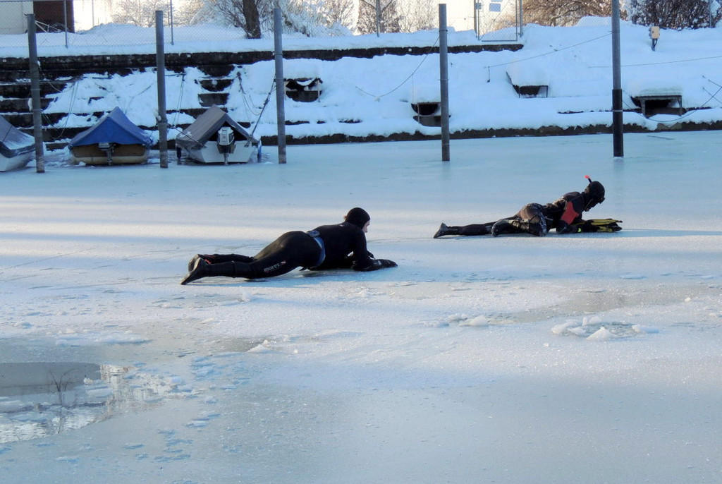 DSCN0503_JPG-1361100401