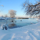 DSCN0524_JPG-1361100420