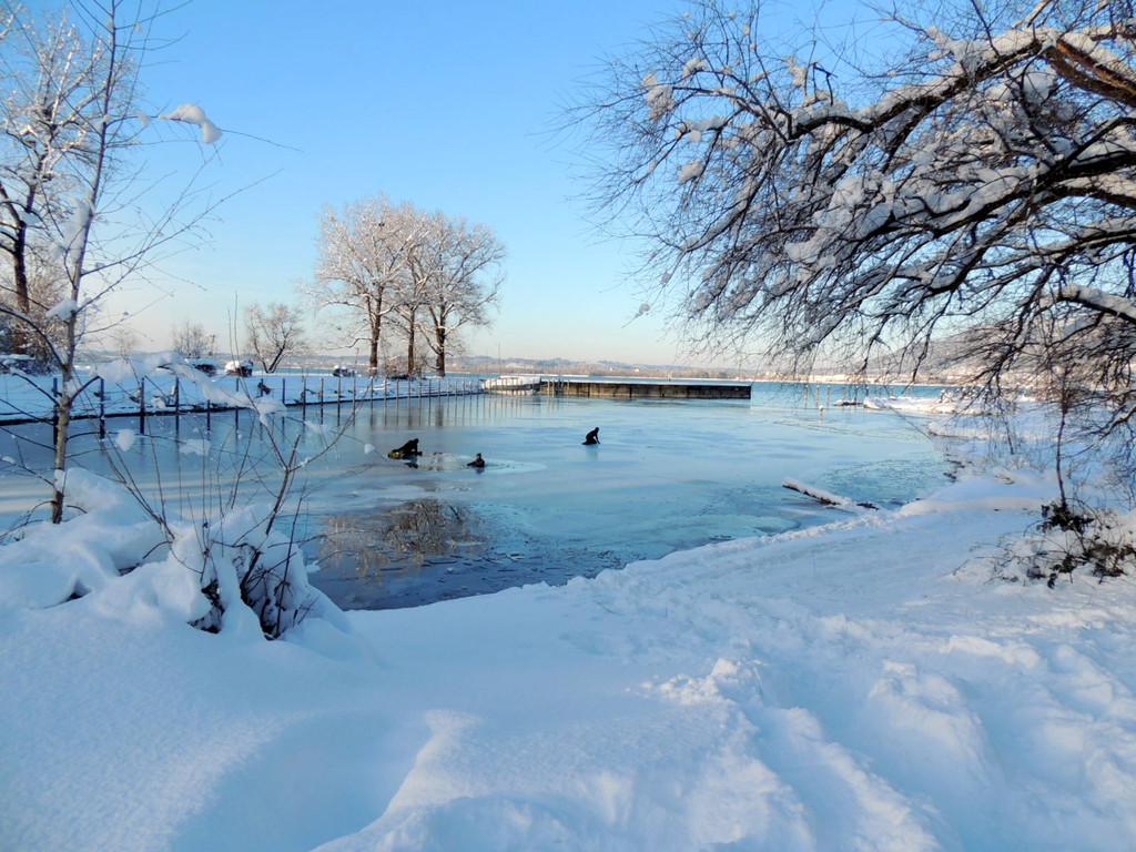 DSCN0524_JPG-1361100420