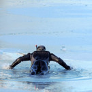 DSCN0529_JPG-1361100425