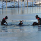 DSCN0551_JPG-1361100435