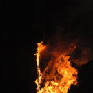 DSC_9778.jpg