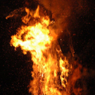 DSC_9784.jpg