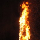 DSC_9785.jpg