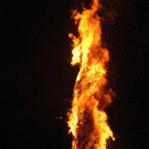 DSC_9786.jpg