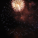 DSC_9811.jpg