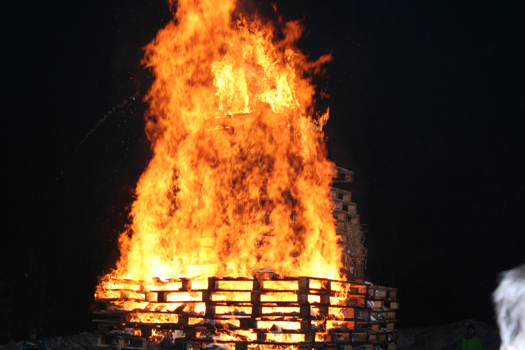 IMG_3559_JPG-1361099453