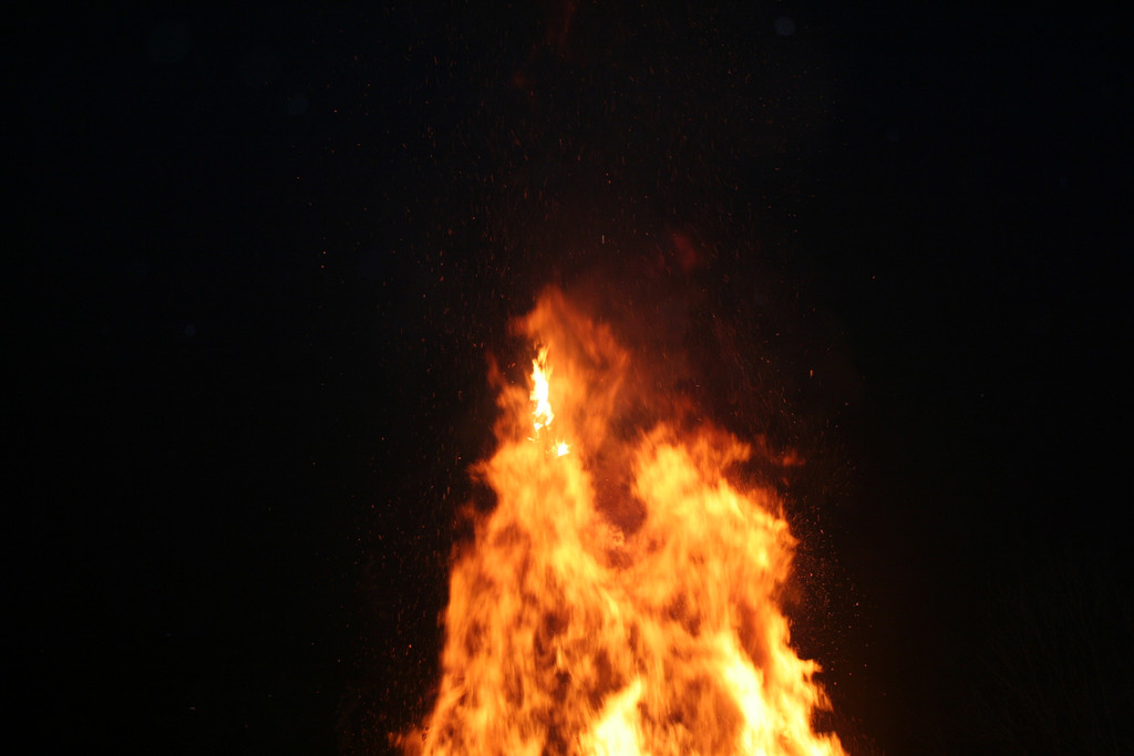 IMG_3667_JPG-1361100320