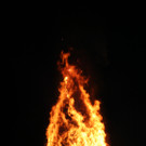 IMG_3669_JPG-1361100342