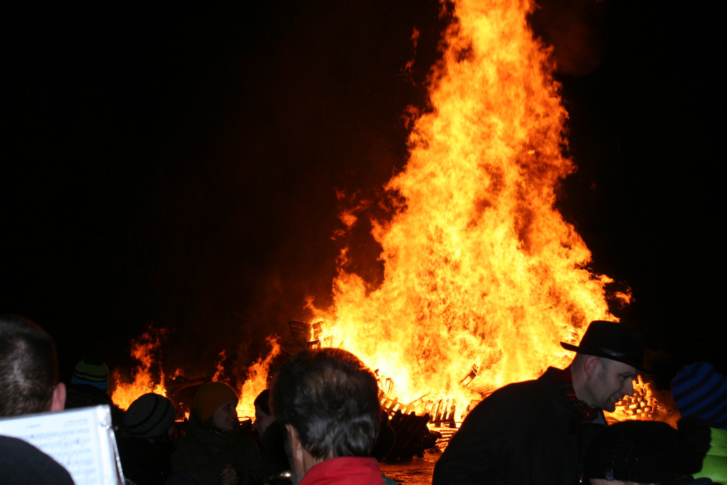 IMG_3686_JPG-1361100517