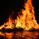 IMG_3692_JPG-1361100563