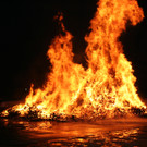 IMG_3695_JPG-1361100597