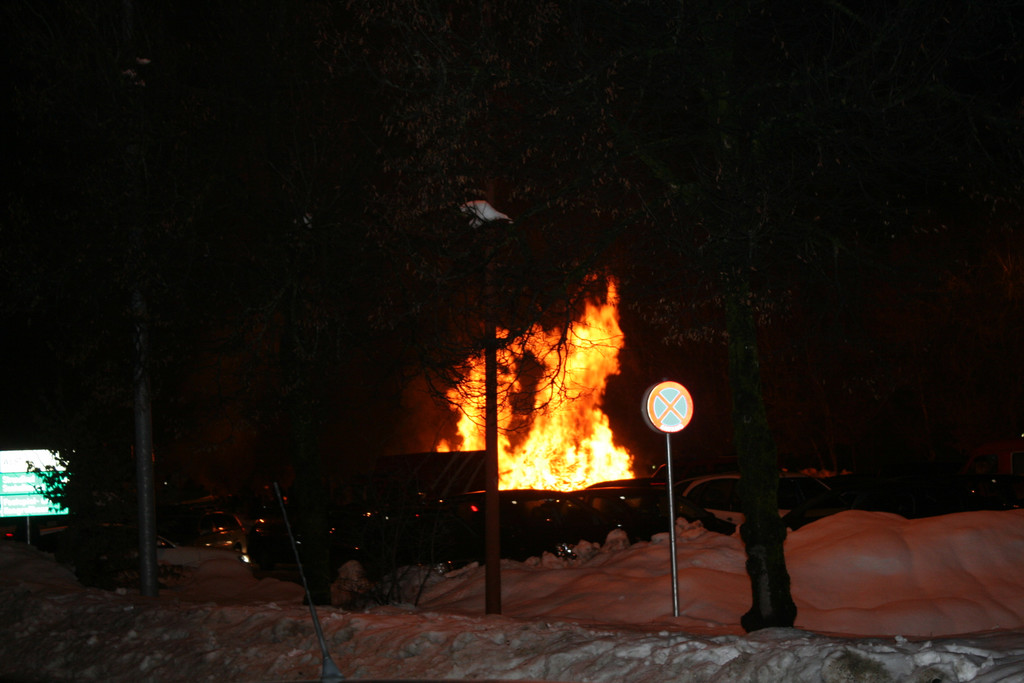 IMG_3699_JPG-1361100616