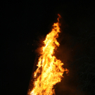 IMG_2975.jpg