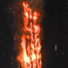 12630011.jpg