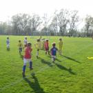 150409 Noah Fussball erstes Mal Rasen 045.jpg
