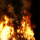 DSC08632.JPG