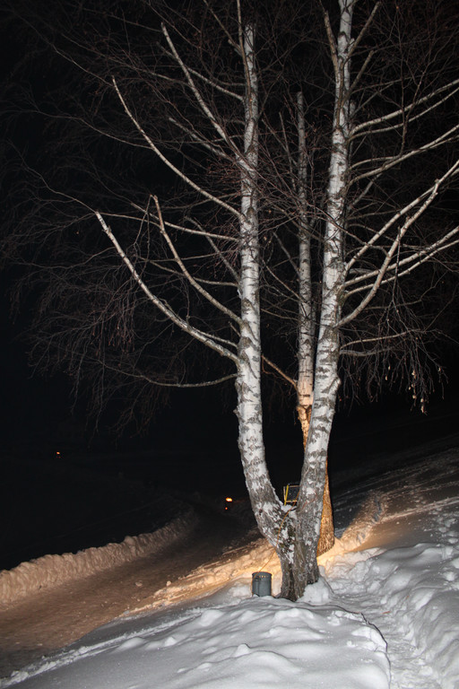 IMG_8263_jpg-1361120426