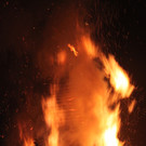 IMG_8303_jpg-1361120802