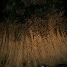 DSC08614.JPG