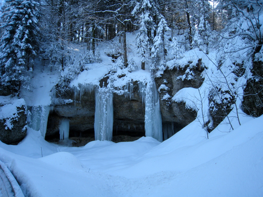 Eichenberg Wintertag 2010 _2_.jpg