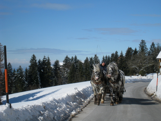 Eichenberg Wintertag 2010 _5_.jpg