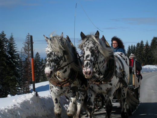 Eichenberg Wintertag 2010 _6_.jpg