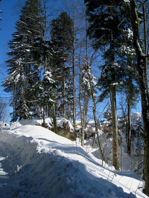 Eichenberg Wintertag 2010 _9_.jpg