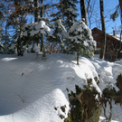 Eichenberg Wintertag 2010 _10_.jpg