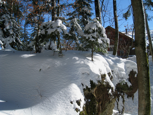 Eichenberg Wintertag 2010 _10_.jpg
