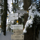 Eichenberg Wintertag 2010 _11_.jpg