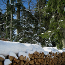 Eichenberg Wintertag 2010 _12_.jpg